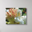 Search for azalea canvas prints Flower