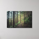 Search for forest canvas prints Woods