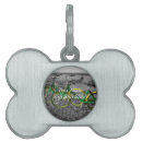 Search for bicycles pet supplies Biking