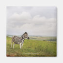 Search for countryside magnets Rural scene