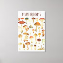 Search for vintage botanical canvas prints Forest