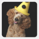 Search for mixed breed dog stickers Studio shot