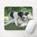 Search for landseer mouse mats Dog
