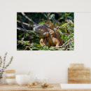 Search for green iguana art Wildlife