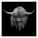Search for black and white cow posters Scottish