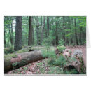Search for walden Forest
