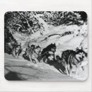 Search for eskimo mouse mats Alaska