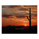 Search for saguaro posters Nature