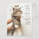 Search for grumpy vertical postcards Fluffy