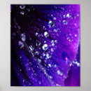 Search for rain drops posters Photography