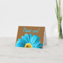 Search for daisy blue cards Gerbera