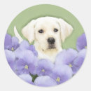 Search for labrador retriever puppy stickers Yellow