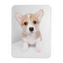 Search for dog rectangular magnets Cute