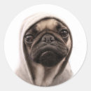 Search for hoodies stickers Dog