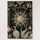 Search for biology puzzles Illustration