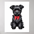 Search for schnauzer puppy posters Animal