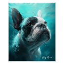 Search for swimming in water posters Animals