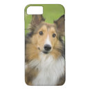 Search for rough collie iphone cases Sable