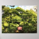 Search for 300 posters Tourism