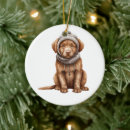 Search for chesapeake bay retriever christmas tree decorations Animal