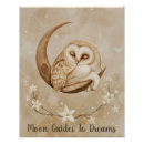 Search for sleeping owl posters Baby