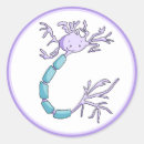 Search for neuroscience stickers Neuron