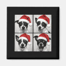 Search for rat magnets Terrier