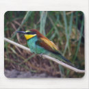 Search for european mouse mats Colourful