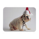 Search for cap christmas cards Animals