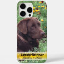 Search for chocolate lovers iphone cases Labrador retriever