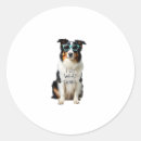Search for i do what i want stickers Animal