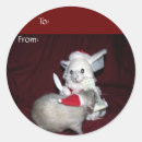 Search for ruby stickers Pet