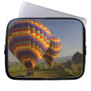 Search for balloon flight electronics Landscape