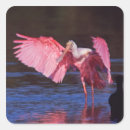 Search for sanibel florida stickers Wildlife