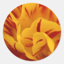 Search for yellow tulip flower stickers Flora