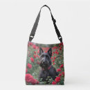 Search for red haired bags Animal