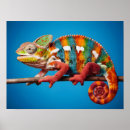 Search for coloured background posters Animal