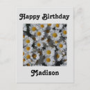 Search for yellow daisy birthday cards Pretty