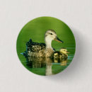 Search for cute duckling accessories Nature