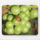 Search for lady bug mouse mats Red