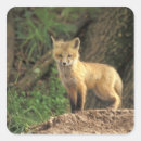 Search for fox cubs stickers Wildlife