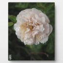 Search for acrylic plaques White