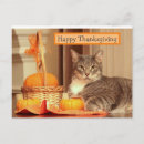 Search for cat thanksgiving cards Happy