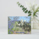 Search for texas bluebonnet postcards Bluebonnets