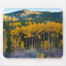 Search for rocky mouse mats Fall