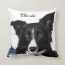 Search for collie cushions Farm