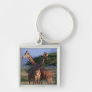 Search for 2 giraffes key rings Outdoors