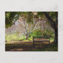 Search for bench postcards Calm