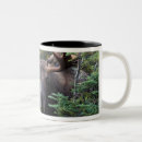 Search for bull horns mugs Wildlife