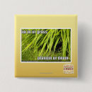 Search for grass square badges I can has cheezburger